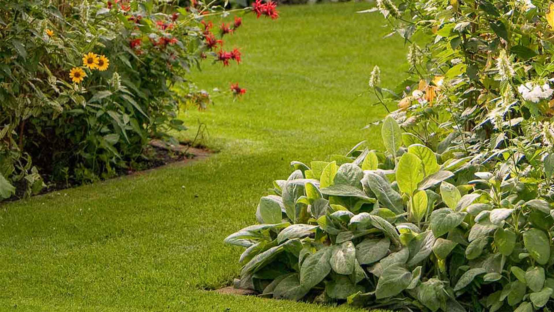 Projektbeispiel für unsere Gartenpflege im Abo, bepflanzter Garten